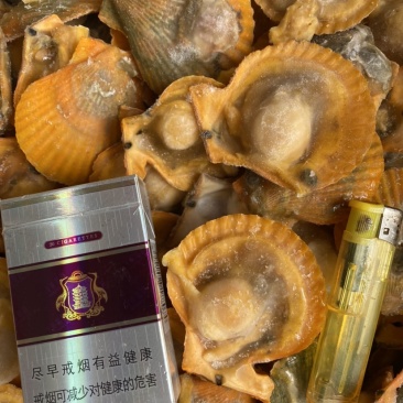 黄金扇贝20斤新鲜冷冻半壳扇贝(360-370个一件)