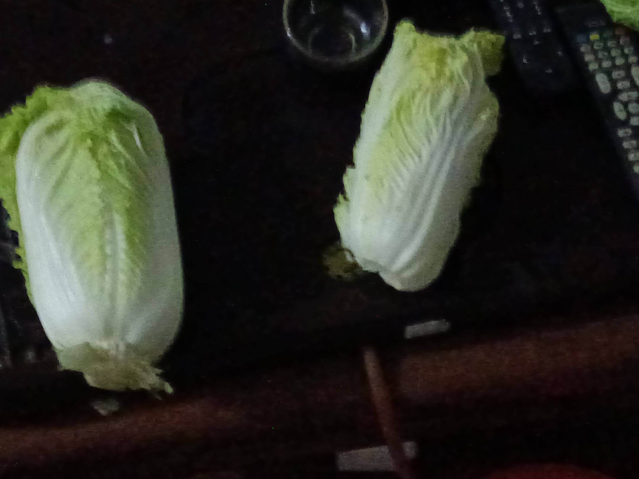 家长与孩子在家中温馨场景