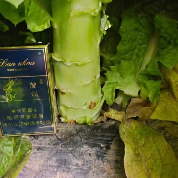 精品红叶笋，产地直销大量有货有需要的联系。