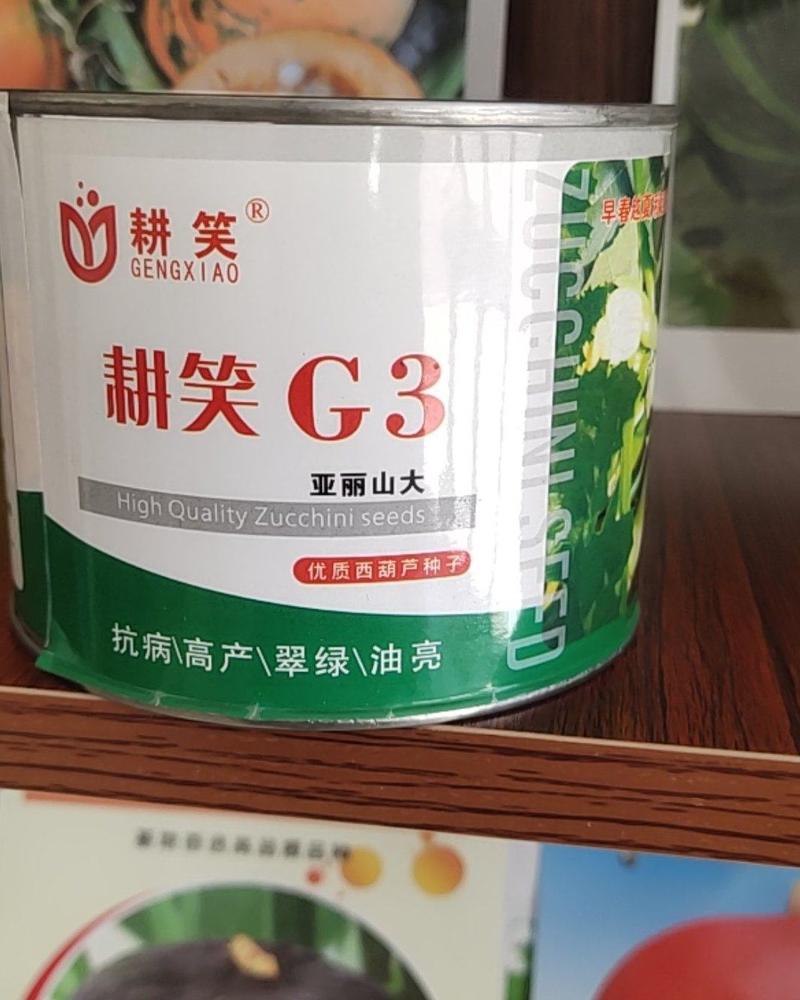 西葫芦种子，绿条抗白粉病毒越夏秋廷越冬西葫芦品种