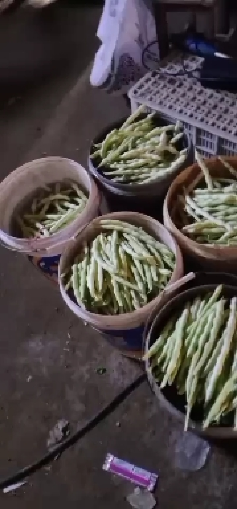 精品芸豆。大量供应超市市场小贩