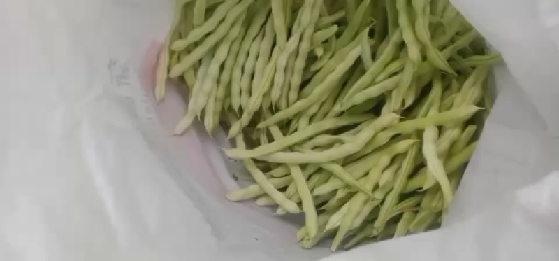 精品芸豆。大量供应超市市场小贩