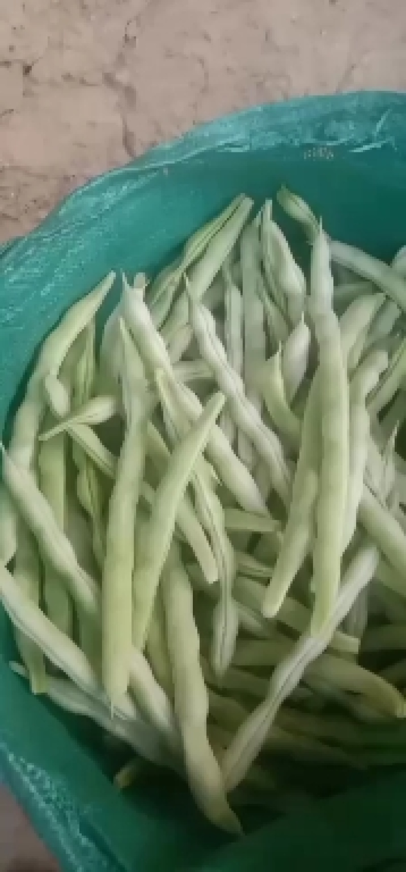 精品芸豆。大量供应超市市场小贩