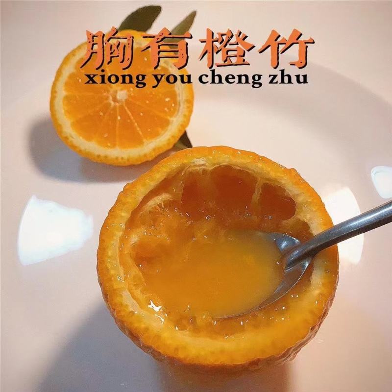 自家果园安全放心产品—青见