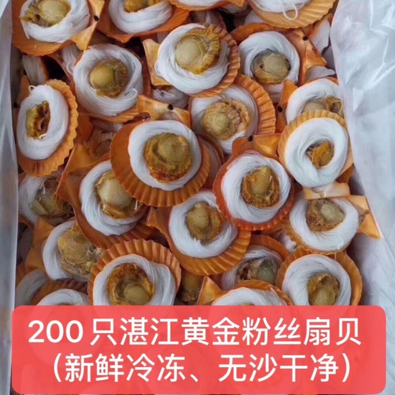 黄金蒜蓉粉丝扇贝半壳扇贝烧烤自助餐200个