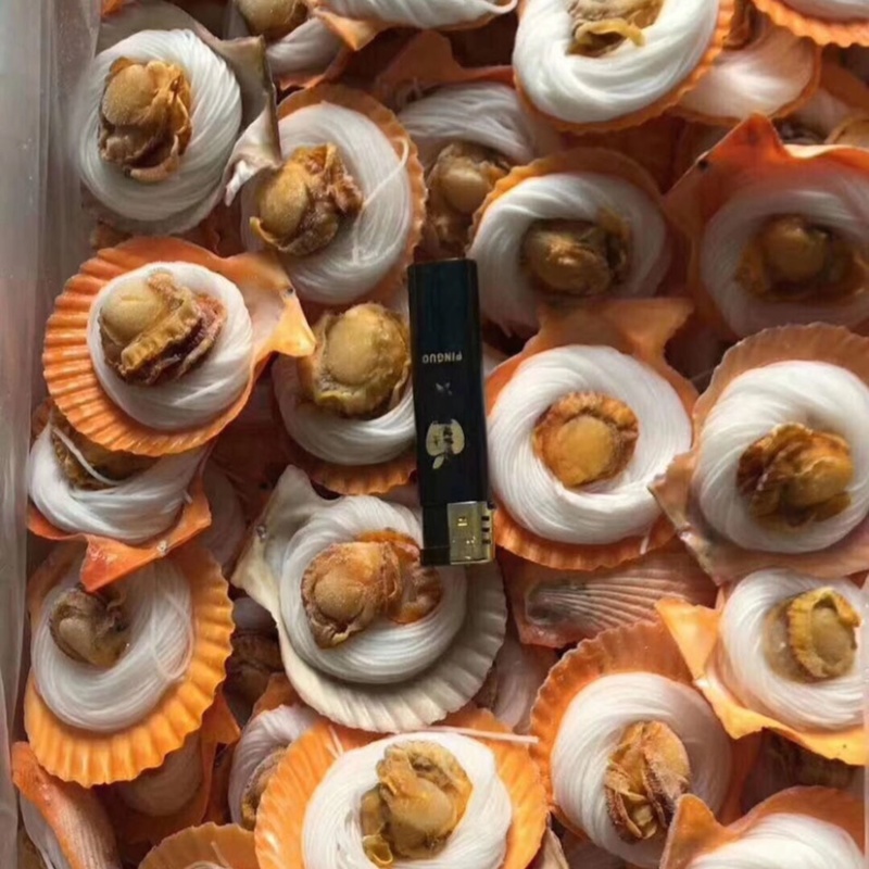 黄金蒜蓉粉丝扇贝半壳扇贝烧烤自助餐200个
