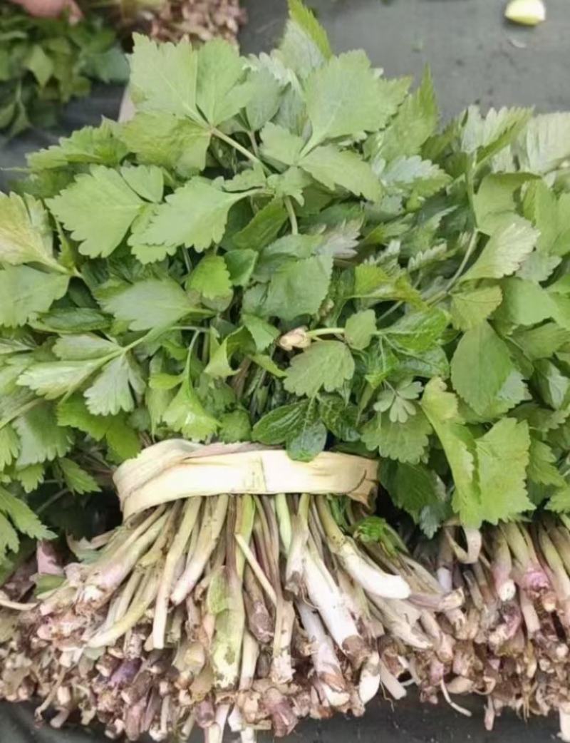 东北山野菜