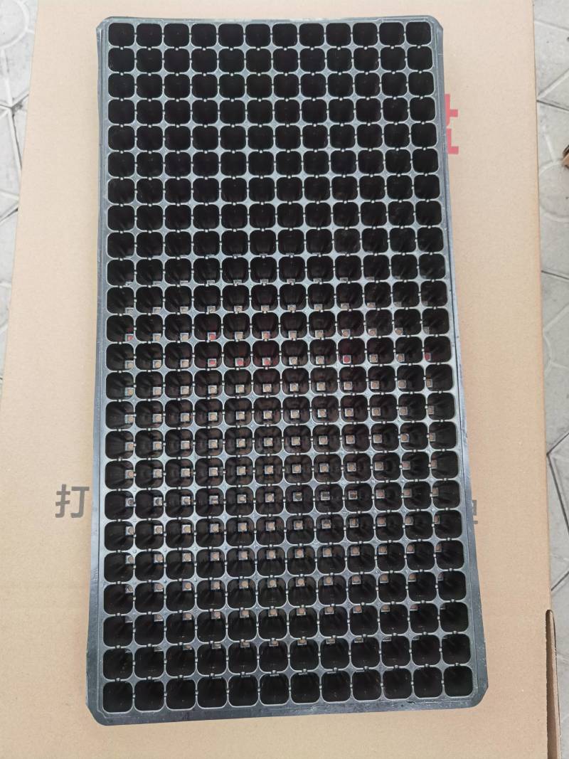 精品加厚耐用性，育苗穴盘288穴，秧苗专用穴盘