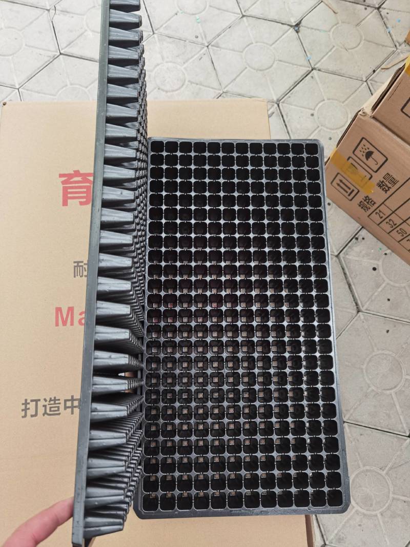 精品加厚耐用性，育苗穴盘288穴，秧苗专用穴盘