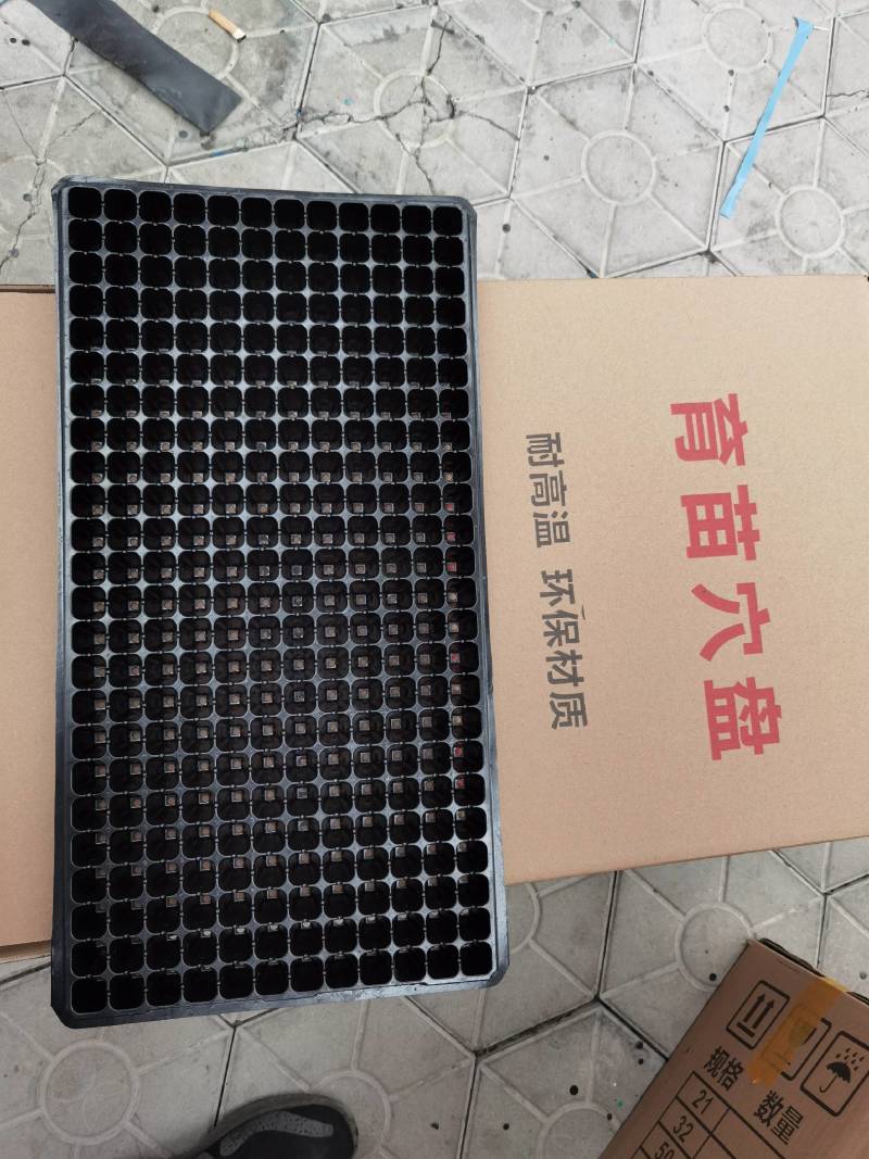 精品加厚耐用性，育苗穴盘288穴，秧苗专用穴盘