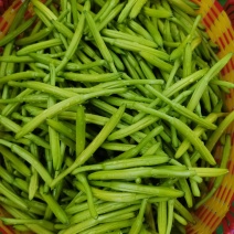 黄花菜