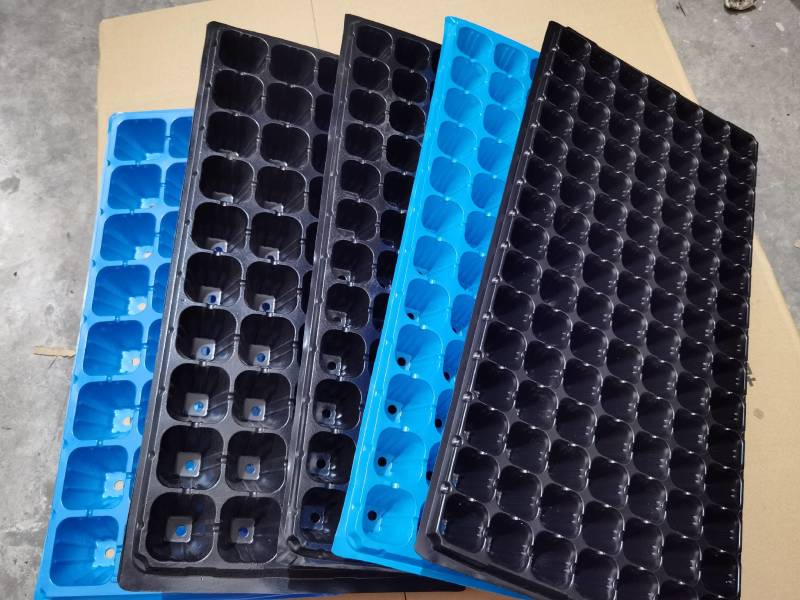 精品加厚耐用性，育苗穴盘288穴，秧苗专用穴盘