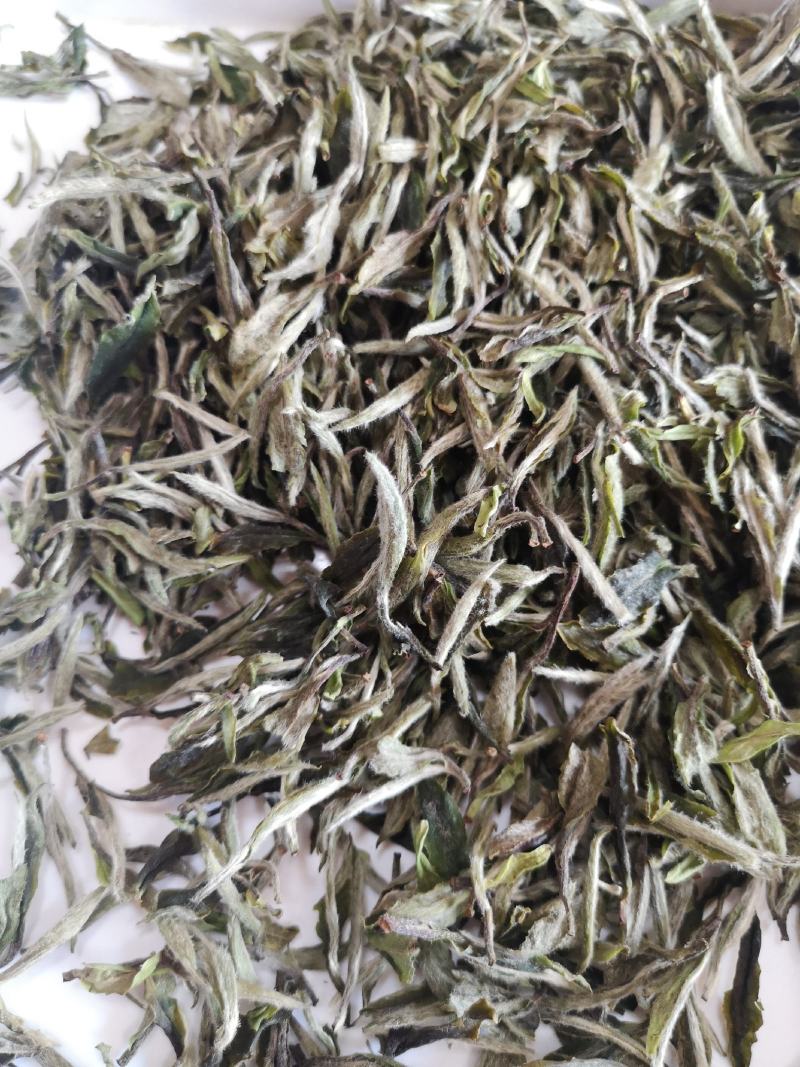 白茶
