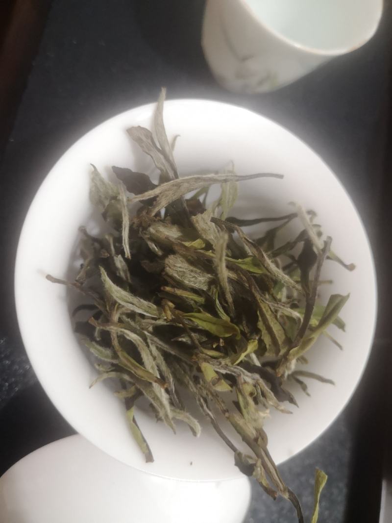 政和白茶