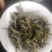 政和白茶