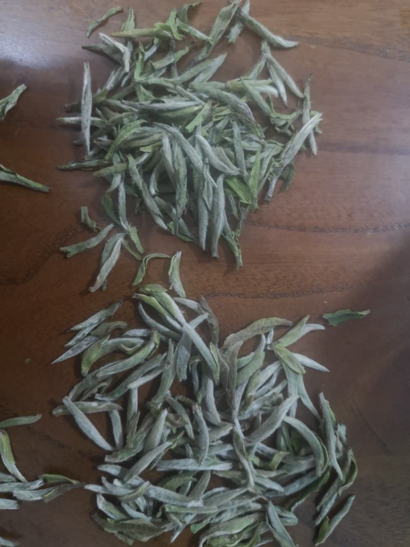 政和白茶
