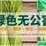 曦野农业一藜蒿