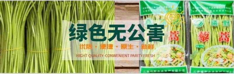 曦野农业一藜蒿