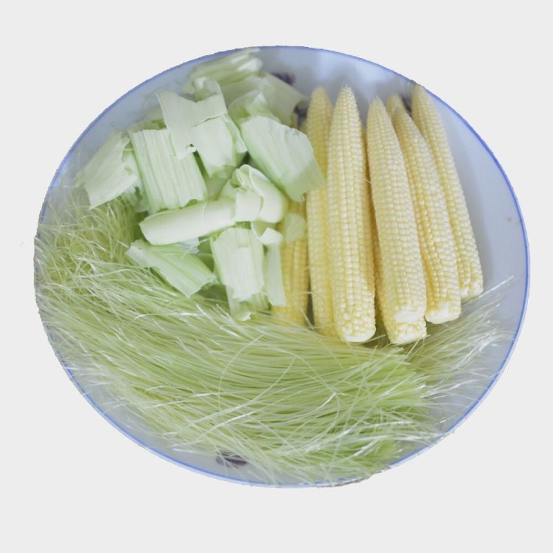 水果玉米笋玉米芯小玉米籽新笋心玉米须即食蔬菜寿司沙拉包邮
