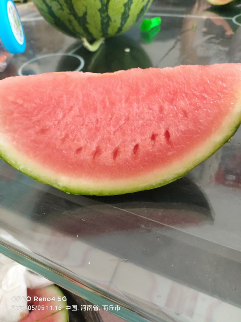 河南夏邑万亩8424美都西瓜种植基地