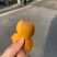 白玉枇杷塘栖白玉枇杷，红中枇杷，自己家种的枇杷