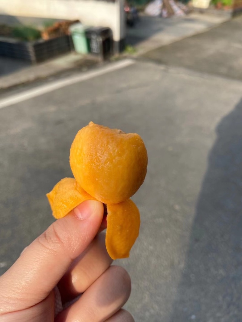 白玉枇杷塘栖白玉枇杷，红中枇杷，自己家种的枇杷