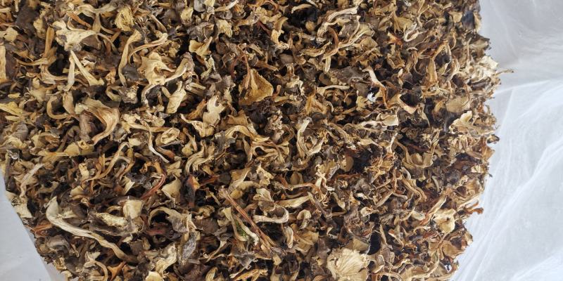 云南特产干贵花菌产地货源大量批发量大优惠