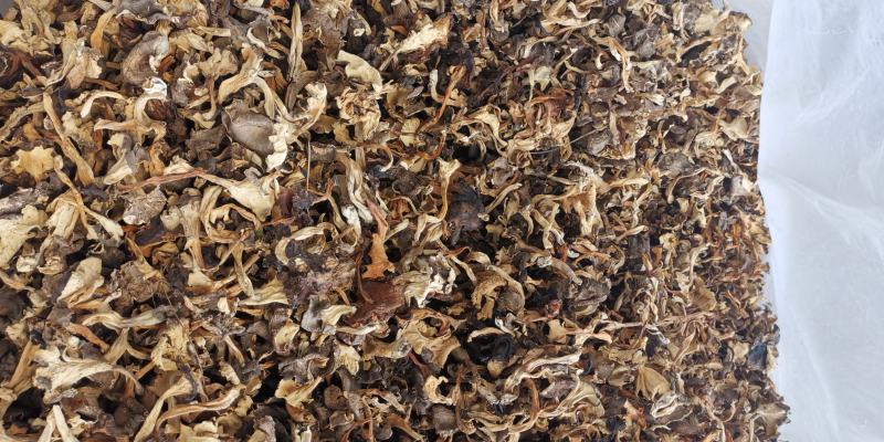 云南特产干贵花菌产地货源大量批发量大优惠