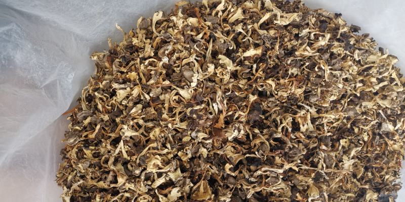 云南特产干贵花菌产地货源大量批发量大优惠