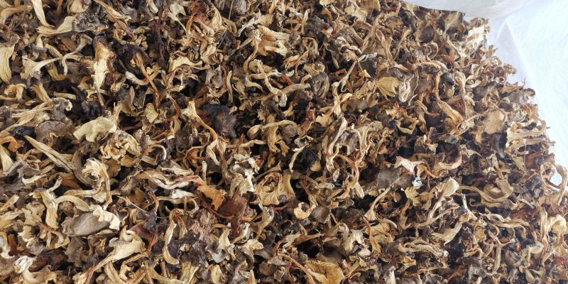 云南特产干贵花菌产地货源大量批发量大优惠