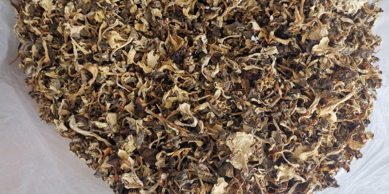 云南特产干贵花菌产地货源大量批发量大优惠