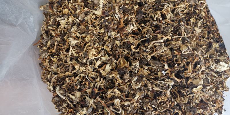 云南特产干贵花菌产地货源大量批发量大优惠