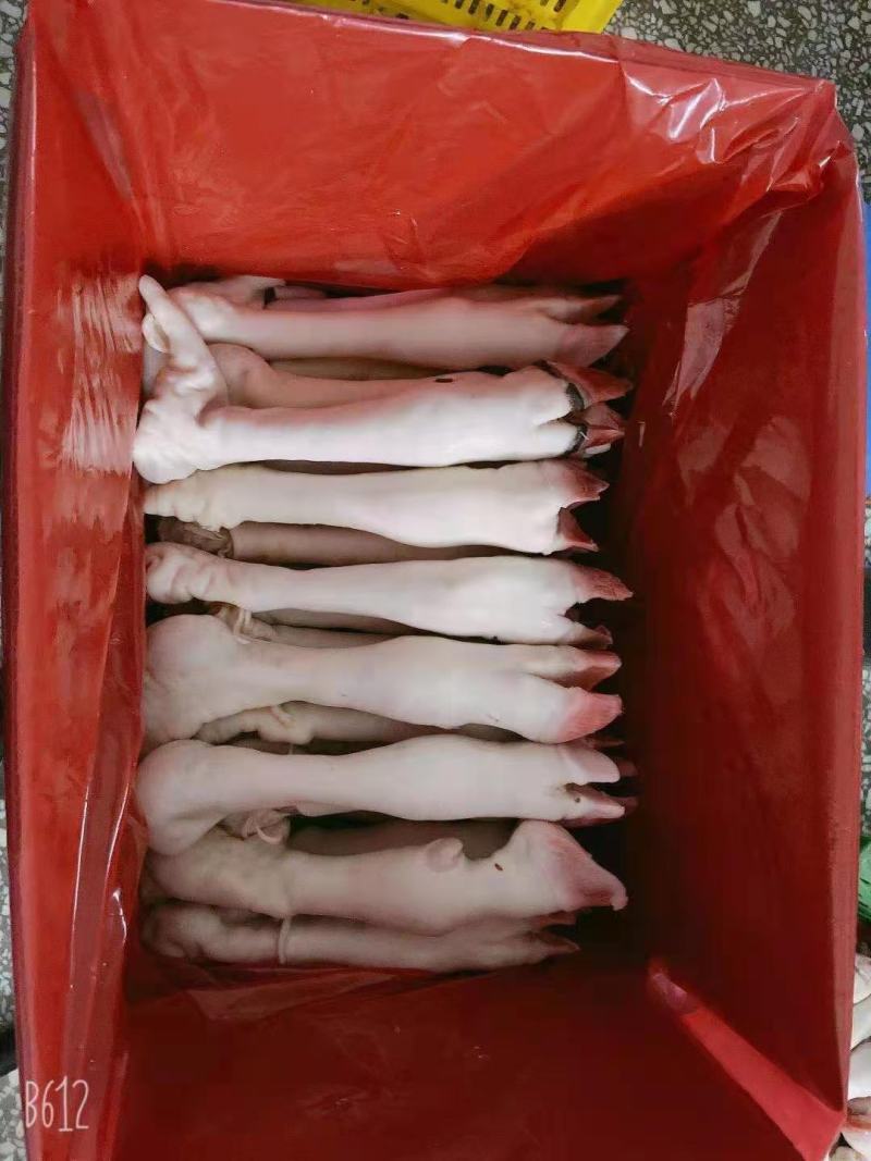 精品羊蹄，货源稳定，物美价优，质量可保，全国可发