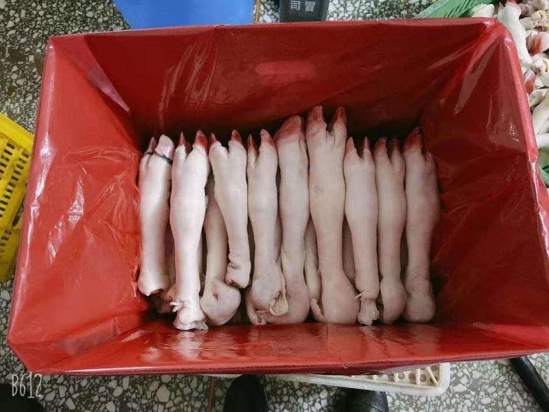 精品羊蹄，货源稳定，物美价优，质量可保，全国可发