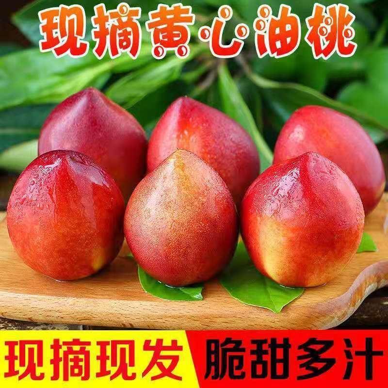 【油桃】千年红，曙光，中油4号系列油桃