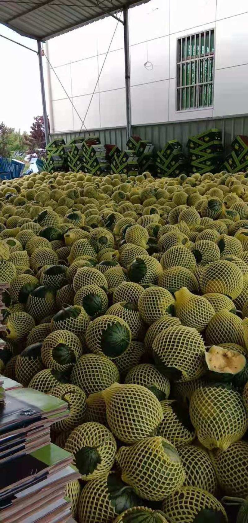【推荐】特小凤西瓜，精品黄瓤，爽口甘甜，货源充足产地直发