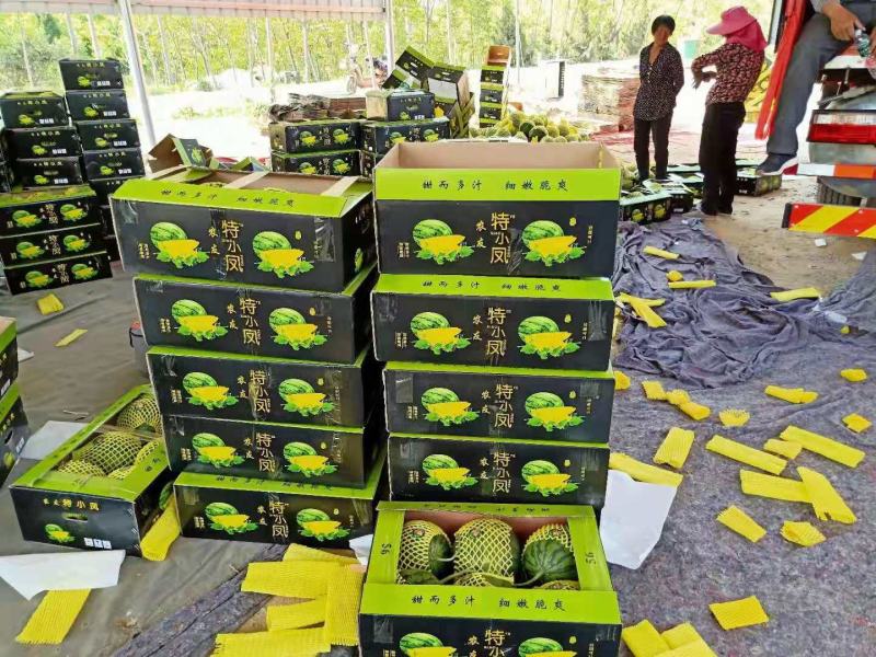 【推荐】特小凤西瓜，精品黄瓤，爽口甘甜，货源充足产地直发