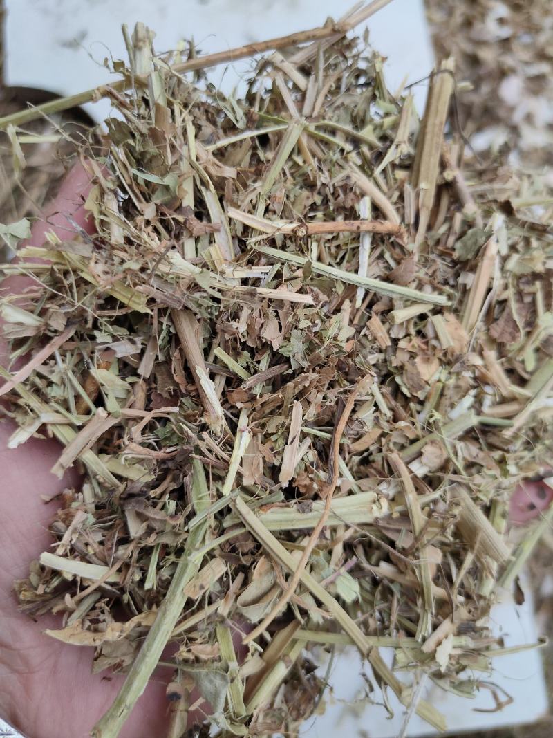 花生秧，花生秧小段，花生秧粉，牛羊马草，无土无膜无霉变
