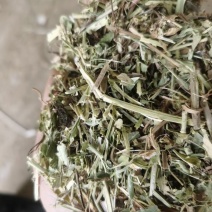 花生秧，花生秧小段，花生秧粉，牛羊马草，无土无膜无霉变
