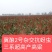 酿酒糯高粱,冀酿2号杂交超高产高粱种子,矮秆三系制种抗蚜