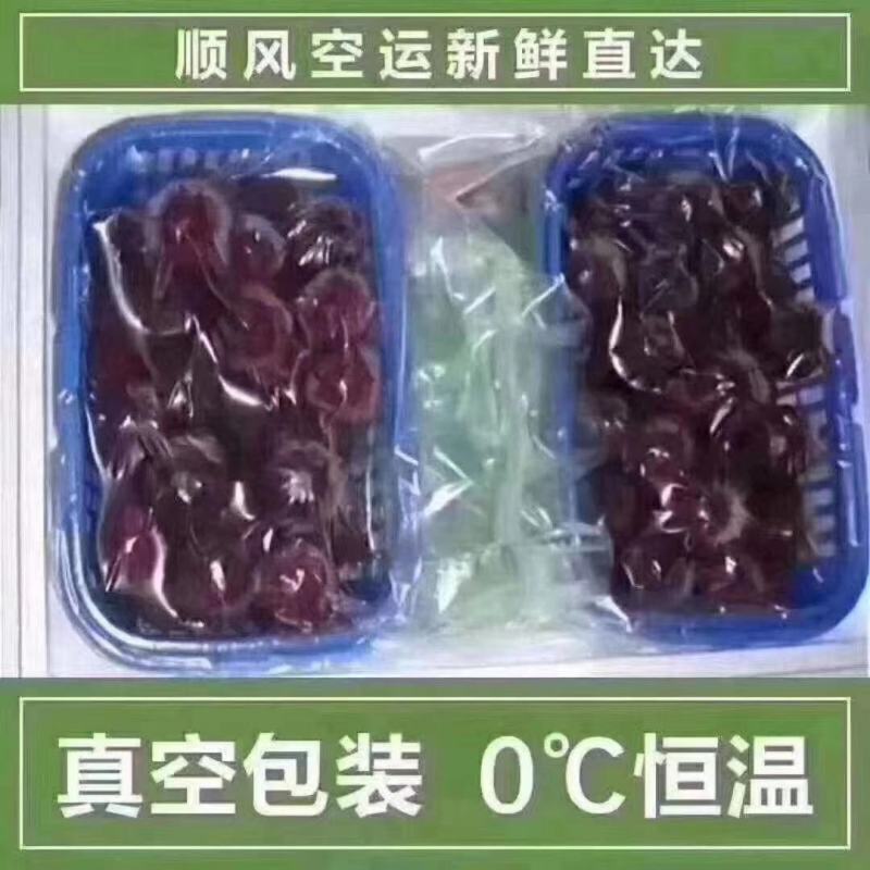 大量低价供货、基地直销、一手货源、全国真发货、货源充足）