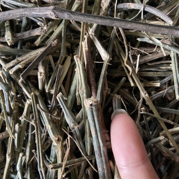穿心莲杆