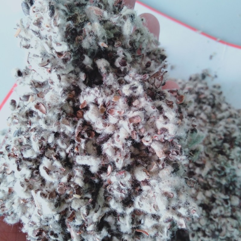 供应优质棉籽壳量大从优，中壳中绒食用菌用