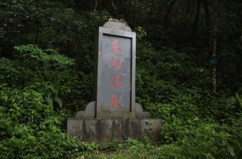 蜂蜜东江源头大自然百花蜜香港人喝水水源头