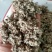 大量供应棉籽壳优质棉籽壳，蘑菇食用菌栽培