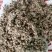 大量供应棉籽壳优质棉籽壳，蘑菇食用菌栽培
