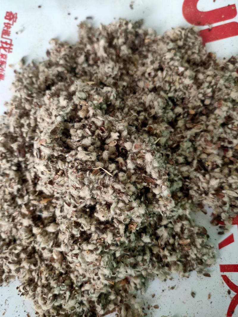 大量供应棉籽壳优质棉籽壳，蘑菇食用菌栽培