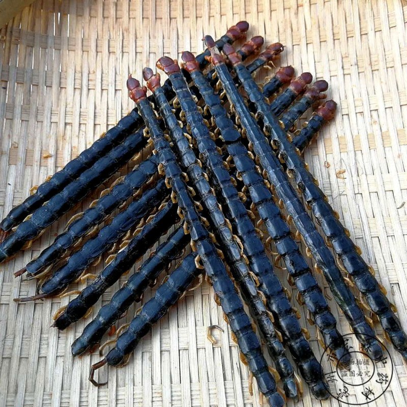 中药蜈蚣药用蜈蚣干百足虫药材10-17公分