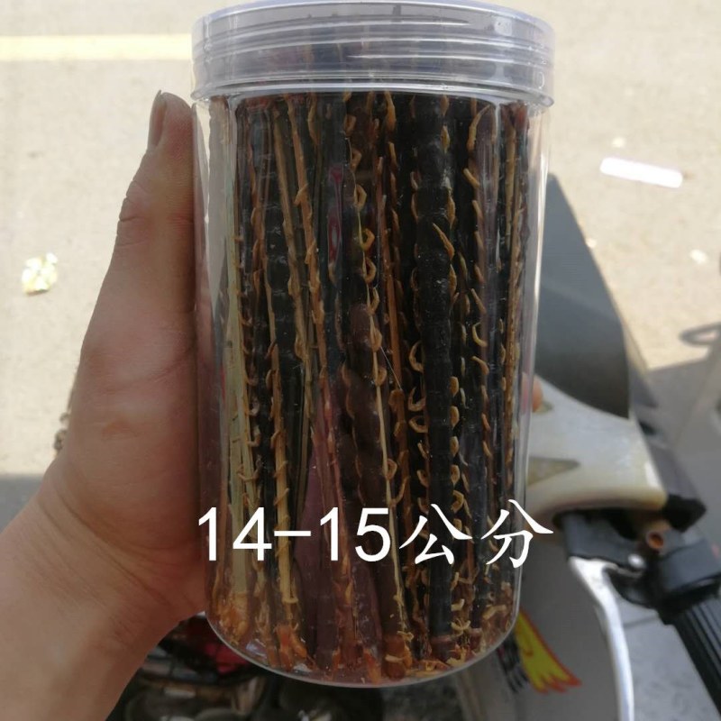中药蜈蚣药用蜈蚣干百足虫药材10-17公分