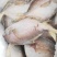 鲳鱼，速冻小鲳鱼，肉多刺少，老少皆宜